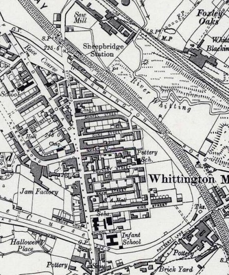 996119_10206011706314439_5936950846990151489_n[1]