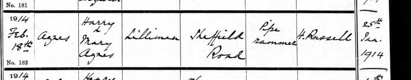 rs00013381_4454111-00236