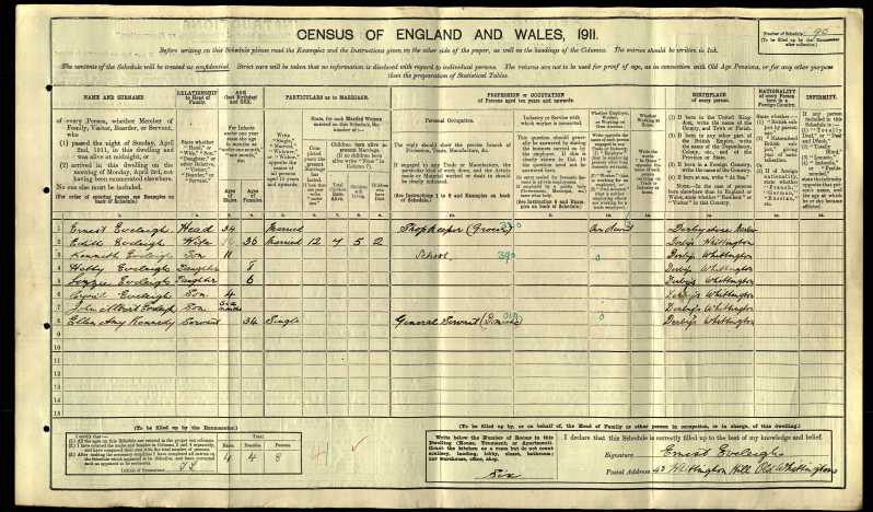 1911 census