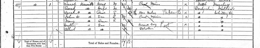 1891 census - Copy