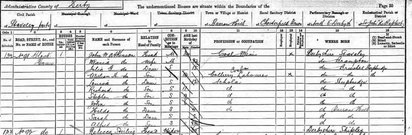 1891census