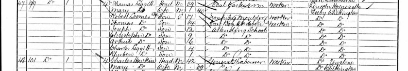 condensed 1901 census