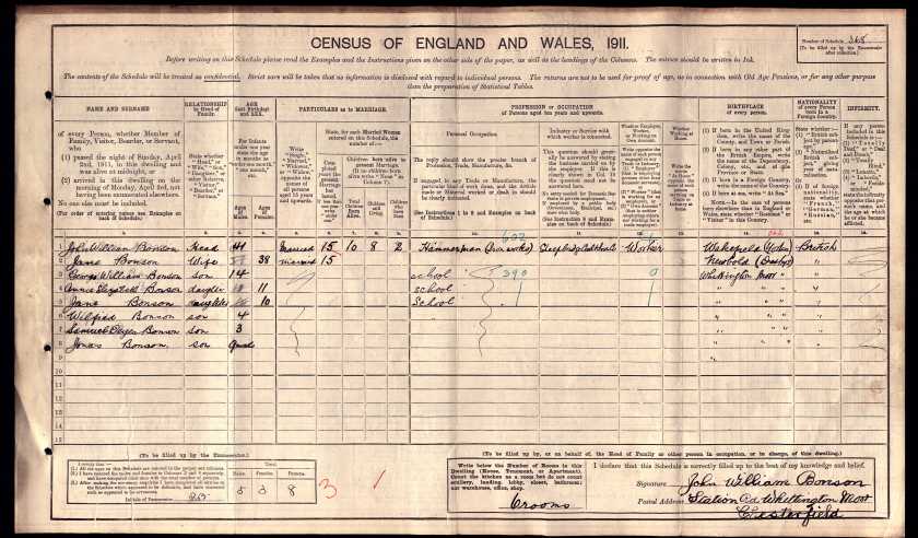 1911 census