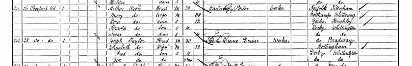 condensed1901 census