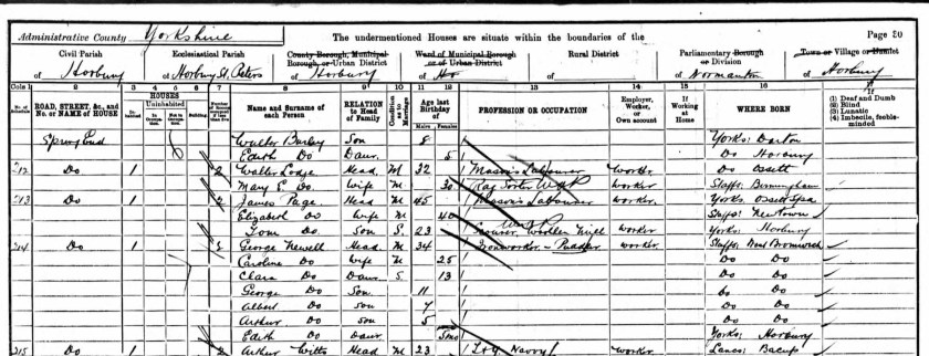 condensed1901 census