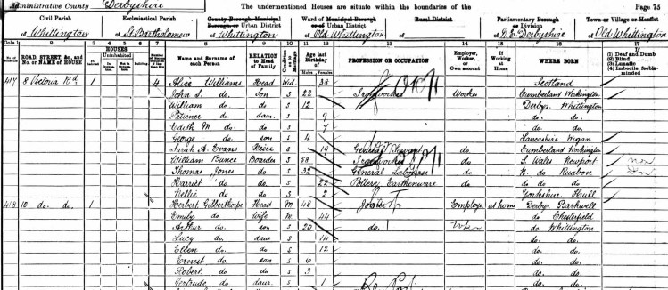 1901 census