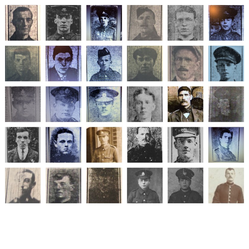 white collage2 (3) (1)