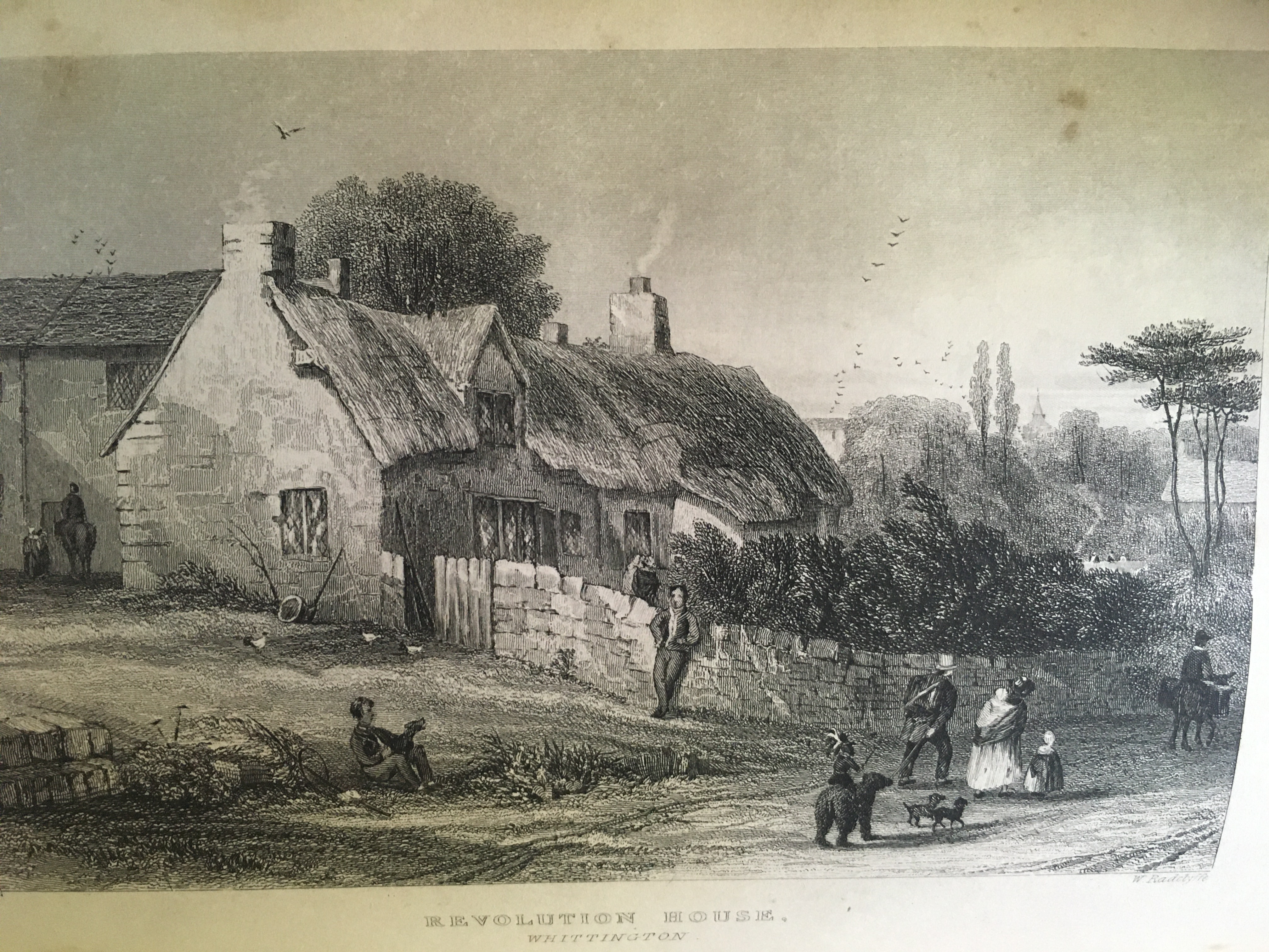 PICTURESREVOLUTION 394